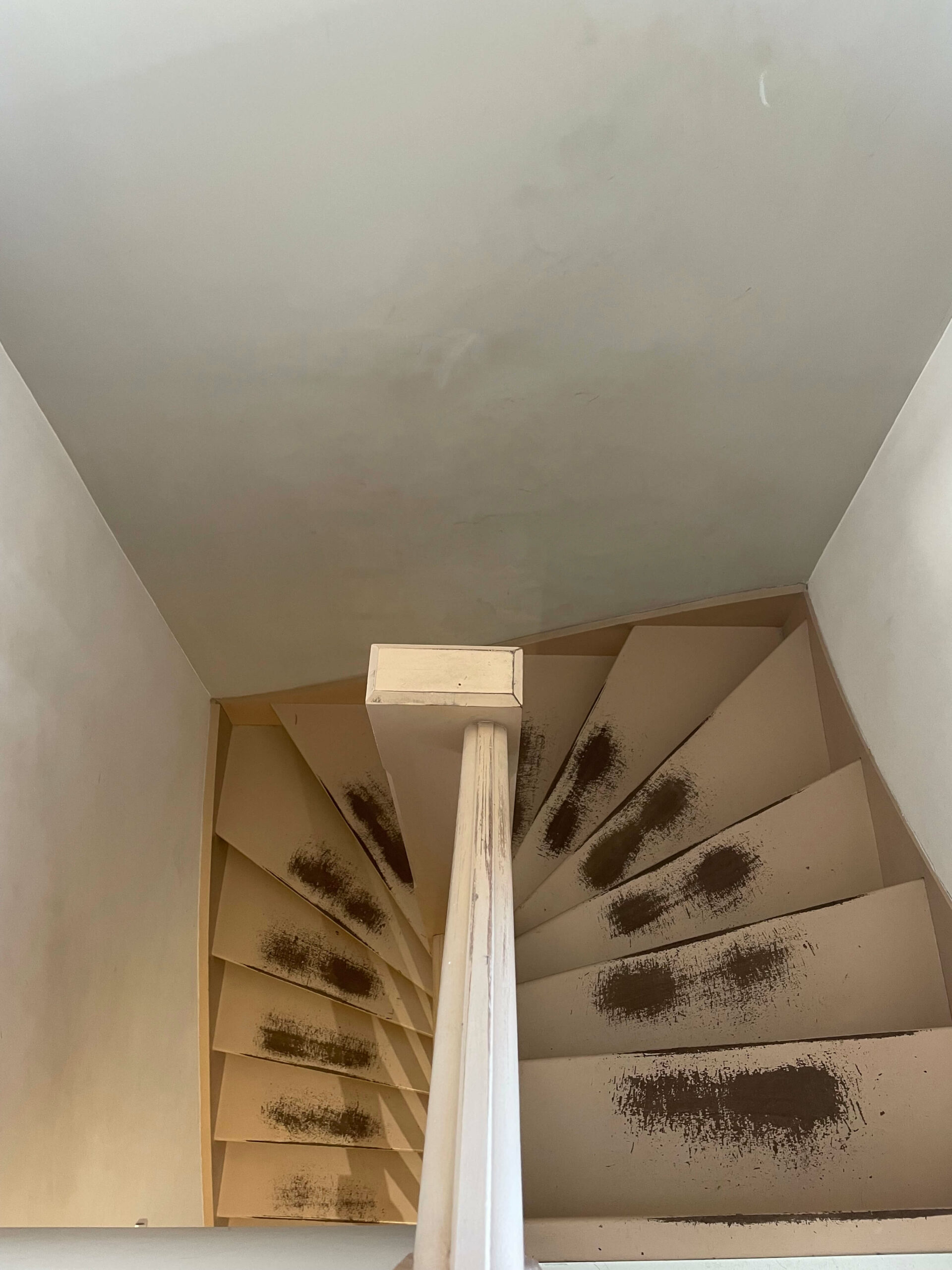 Image représentant les escaliers d'un Appartement à vendre dans le Vieux Lille